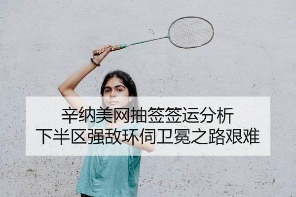 辛纳美网抽签签运分析 下半区强敌环伺卫冕之路艰难